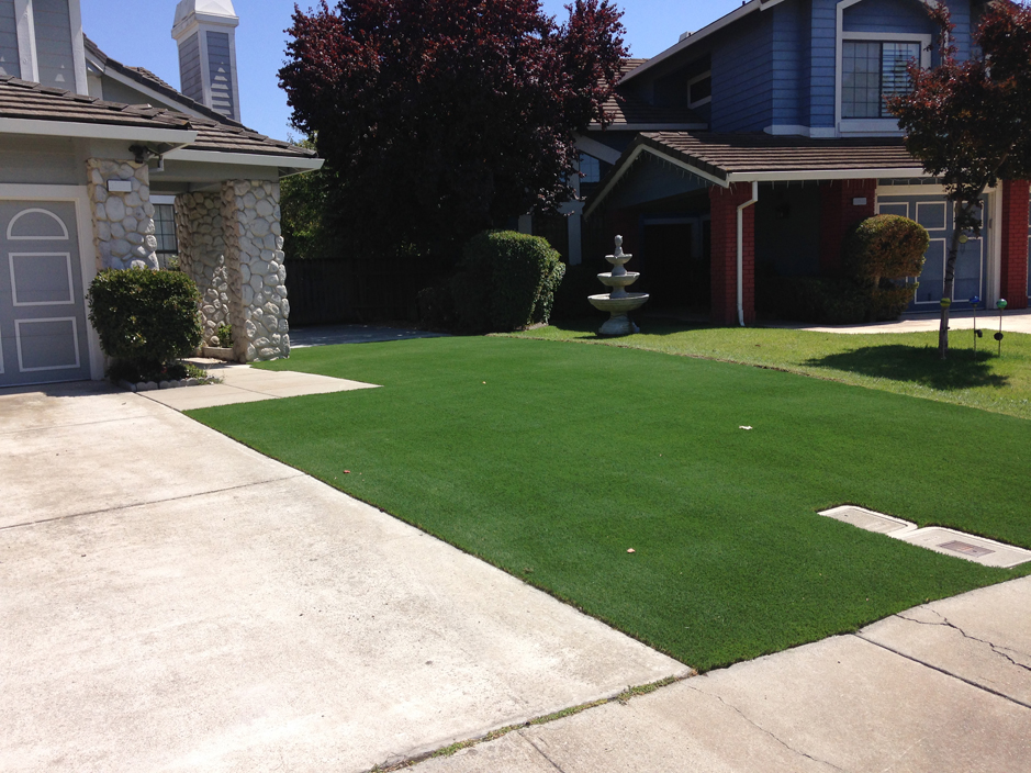 Artificial Grass: Artificial Grass Carpet Eagle Lake, Texas Gardeners, Front Yard Ideas