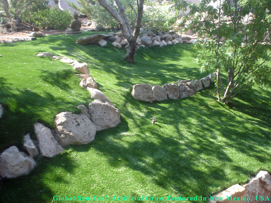 Artificial Grass: Artificial Grass Carpet Galena Park, Texas Roof Top, Pavers