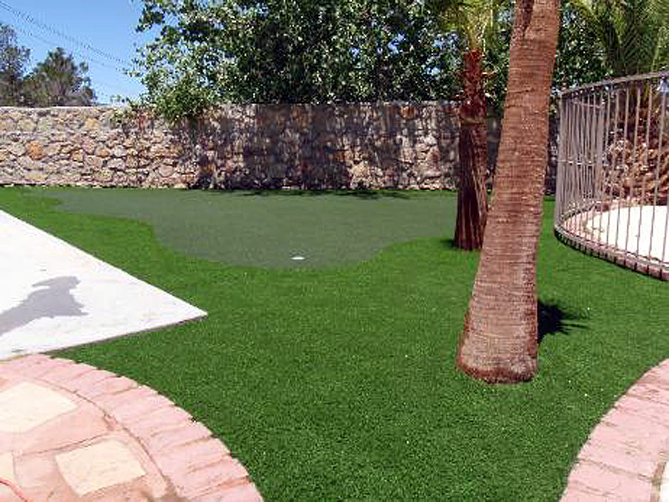 Artificial Grass: Artificial Grass Carpet Nordheim, Texas Landscape Ideas, Backyard Designs