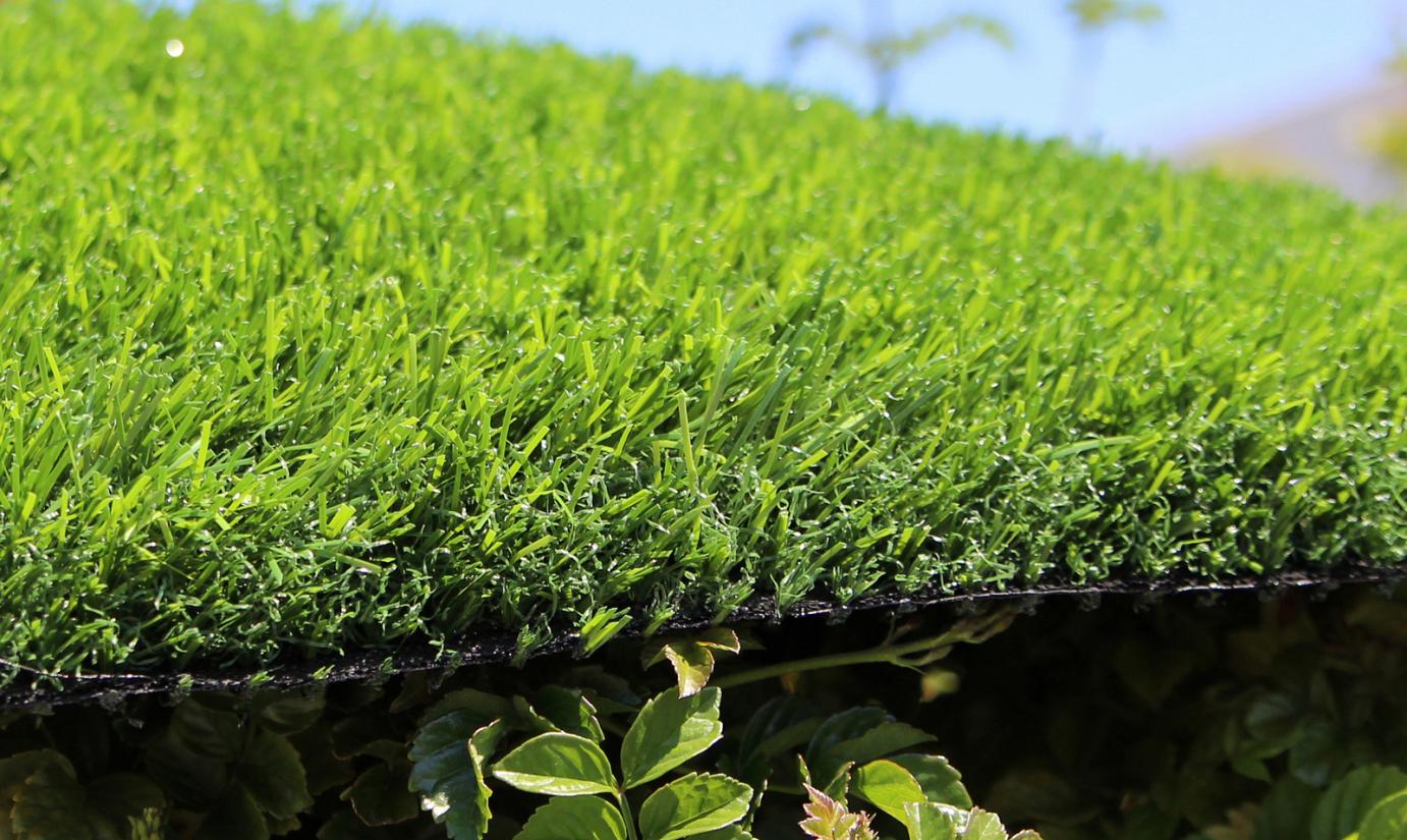 Artificial Grass Evergreen-54 Green on Green Synthetic Grass