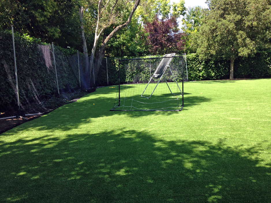 Artificial Grass: Artificial Lawn San Pedro, Texas Gardeners, Small Backyard Ideas