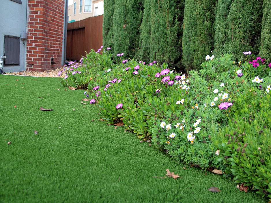 Artificial Grass: Artificial Turf Cost Lolita, Texas Design Ideas, Front Yard Landscaping Ideas