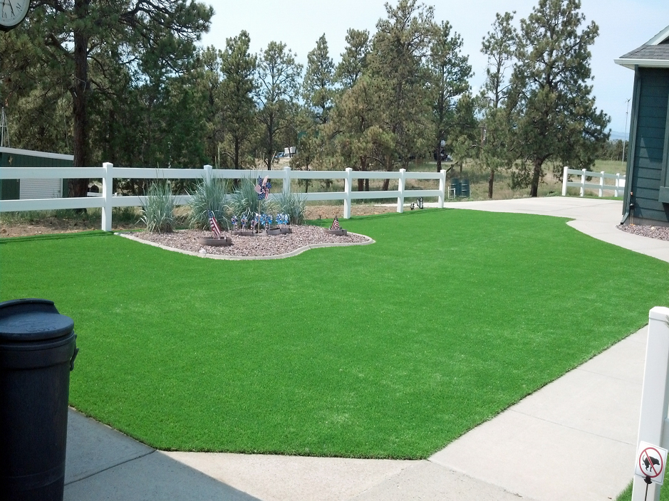 Artificial Grass: Artificial Turf Cost Porter Heights, Texas Design Ideas, Front Yard Landscaping
