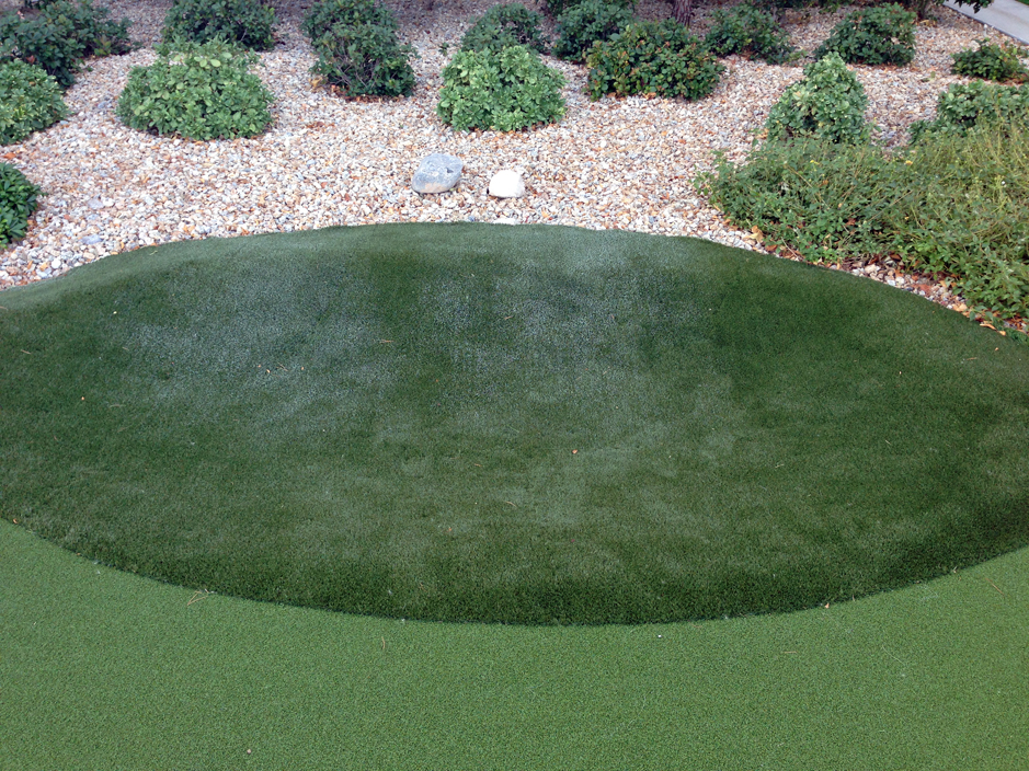 Artificial Grass: Artificial Turf Cost Spring, Texas Roof Top