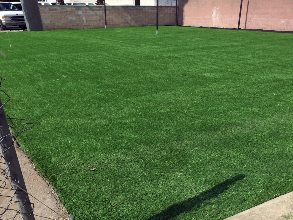 Artificial Grass: Artificial Turf Cost Thorndale, Texas Softball