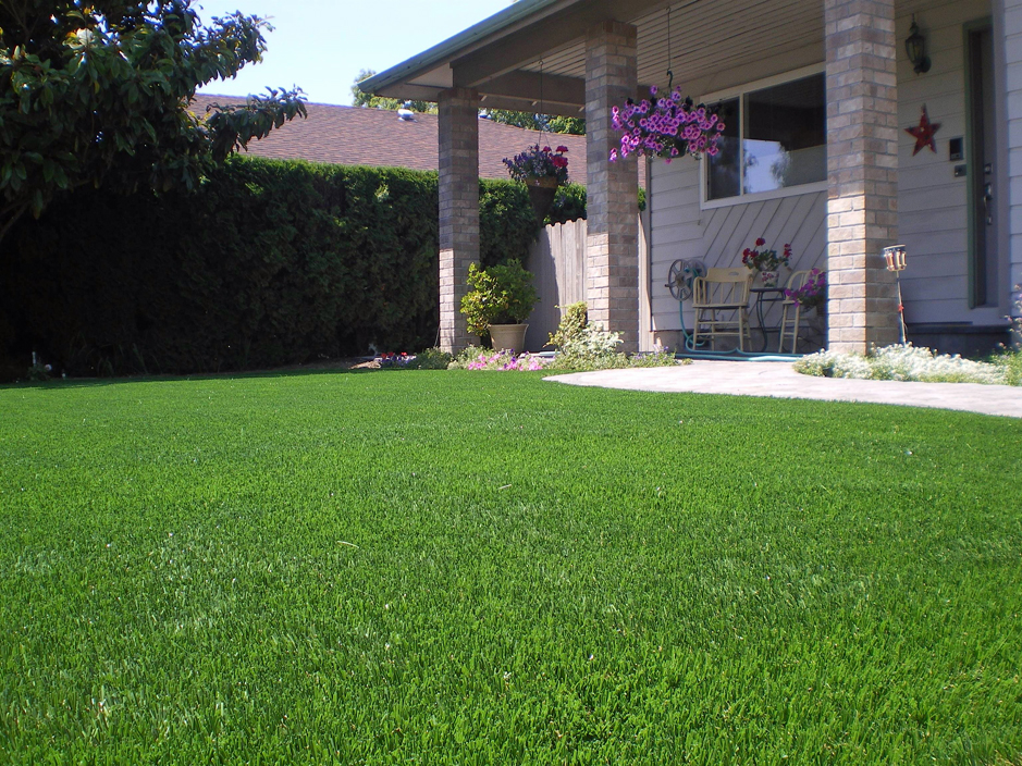 Artificial Grass: Artificial Turf Groveton, Texas Landscape Ideas, Front Yard
