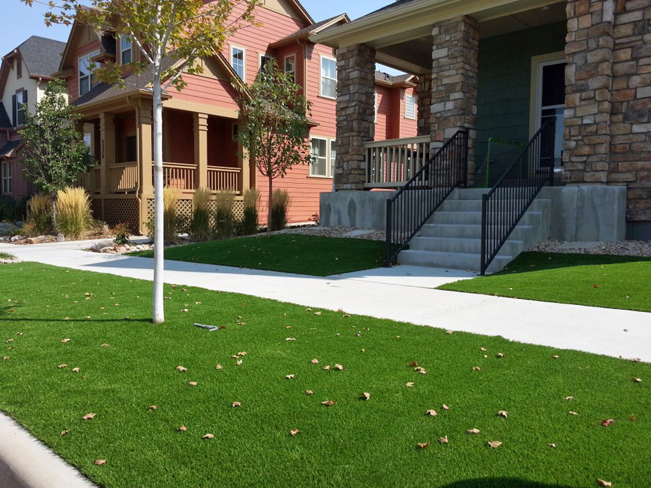 Artificial Grass: Artificial Turf Installation Sheldon, Texas Paver Patio, Front Yard