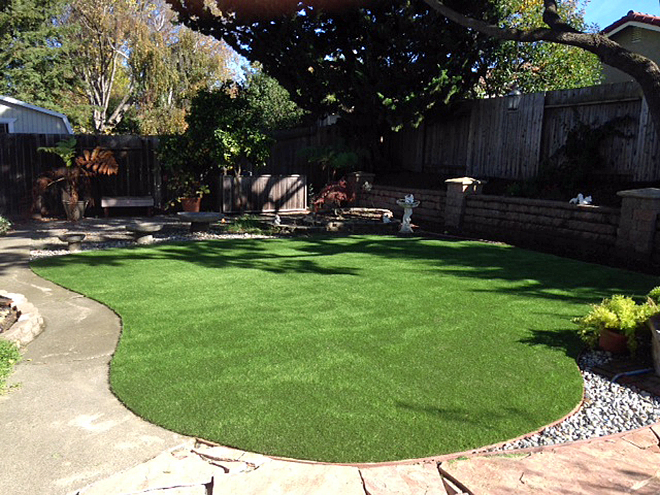 Artificial Grass: Artificial Turf Sam Rayburn, Texas Backyard Deck Ideas, Small Backyard Ideas