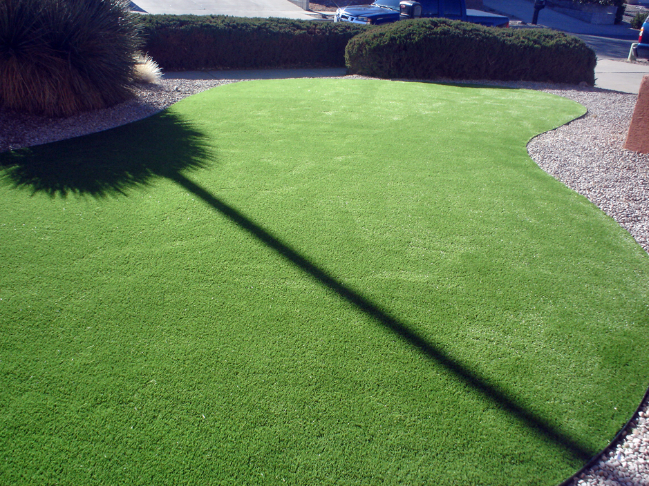Artificial Grass: Best Artificial Grass Port Neches, Texas Design Ideas, Landscaping Ideas For Front Yard