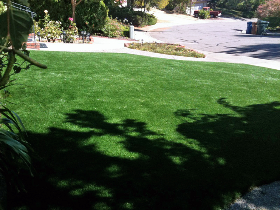 Artificial Grass: Best Artificial Grass Seabrook, Texas Landscape Photos, Front Yard Design