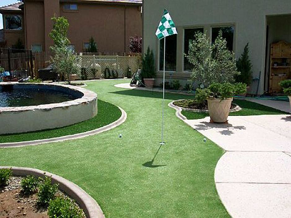 Artificial Grass: Best Artificial Grass Windemere, Texas Indoor Putting Greens, Backyard Landscape Ideas