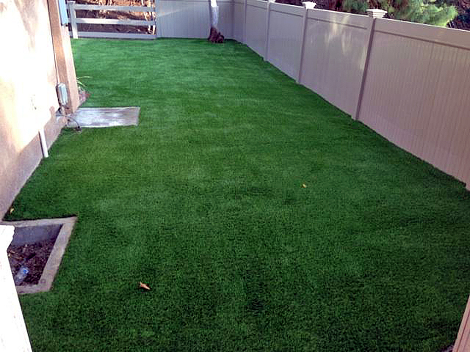 Artificial Grass: Fake Grass Bedias, Texas Fake Grass For Dogs, Backyards