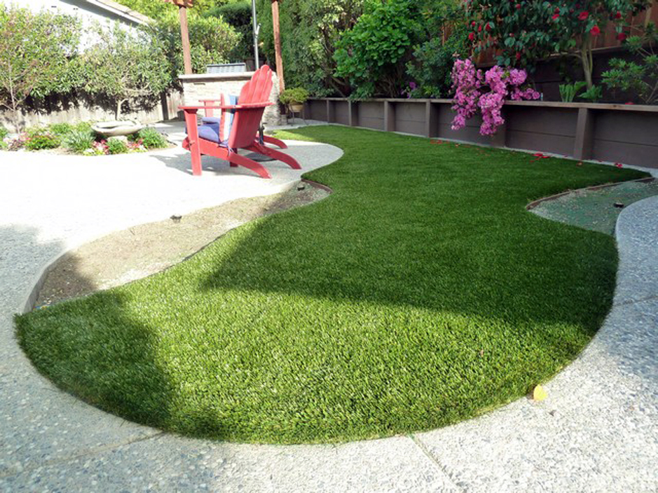 Artificial Grass: Fake Grass Center, Texas Fake Grass For Dogs, Backyard Ideas