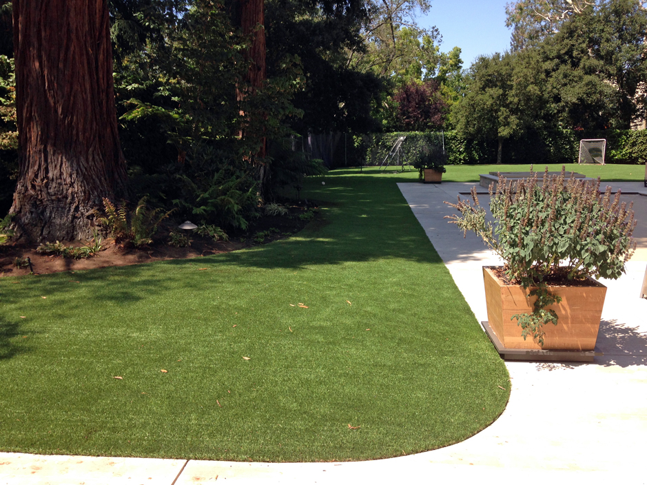 Artificial Grass: Fake Grass Millican, Texas Cat Playground, Small Front Yard Landscaping