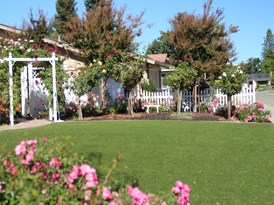 Artificial Grass: Fake Grass Rosharon, Texas Lawn And Garden, Small Front Yard Landscaping