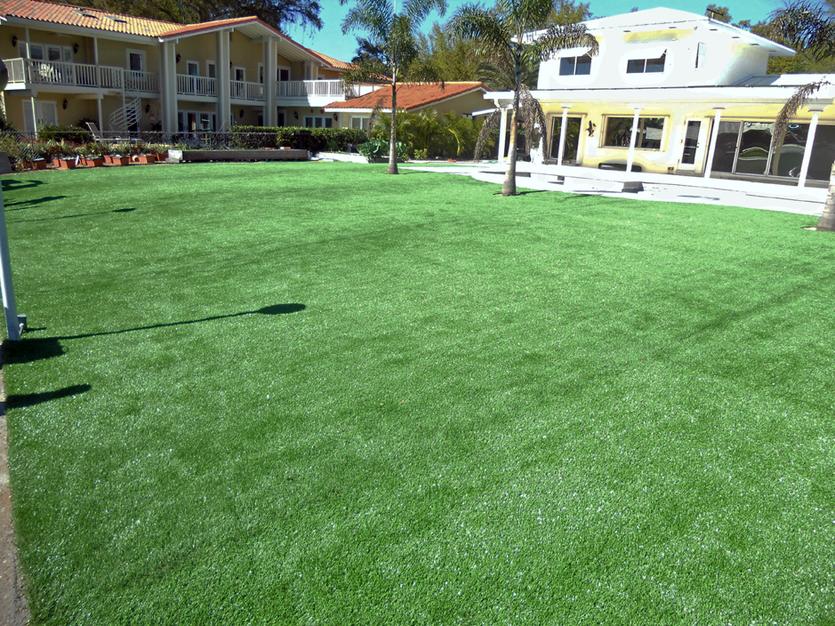 Artificial Grass: Fake Lawn Buna, Texas Landscape Design, Natural Swimming Pools