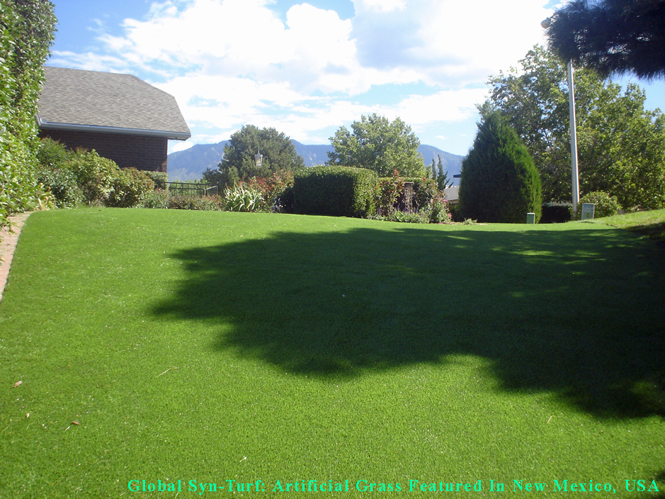Artificial Grass: Fake Lawn Hunters Creek Village, Texas Lawns, Backyard Makeover