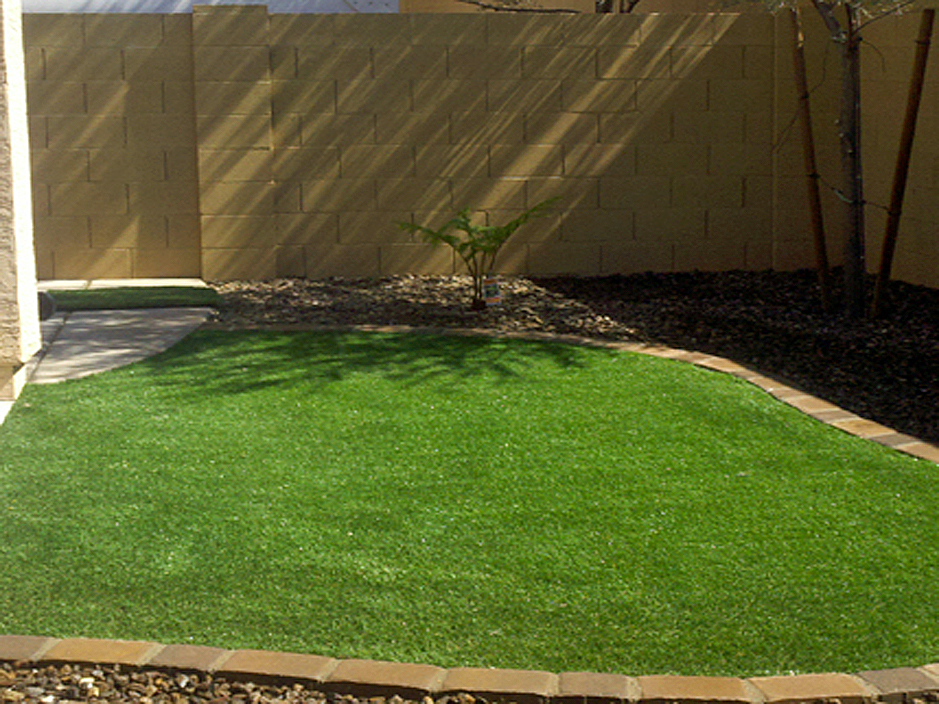 Artificial Grass: Fake Lawn Pointblank, Texas Gardeners, Backyard Landscape Ideas