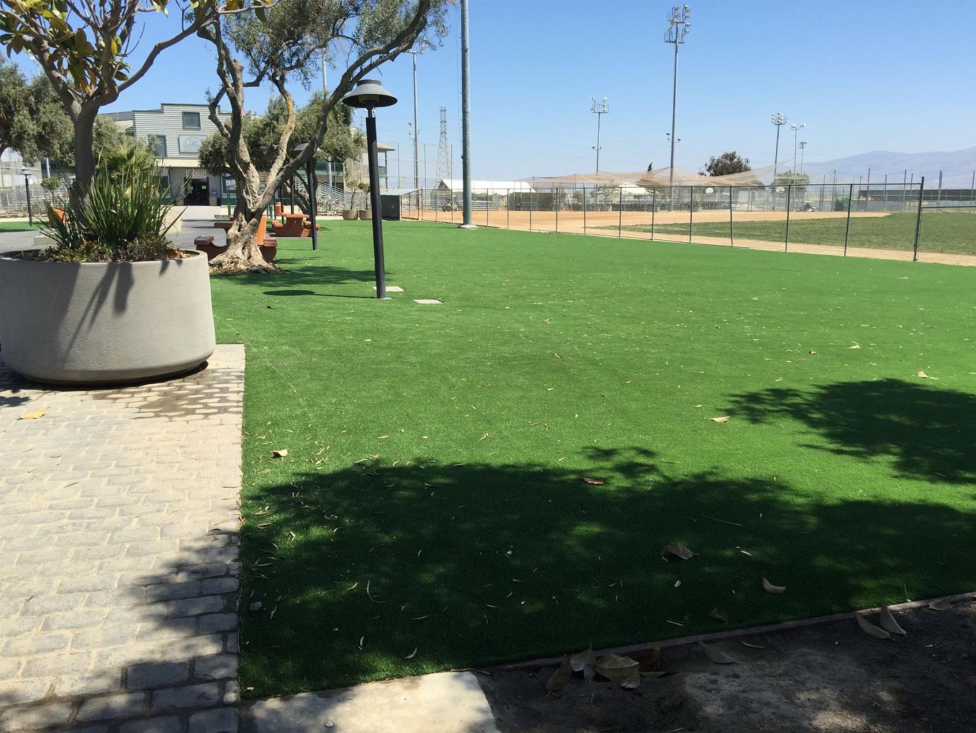 Artificial Grass: Fake Lawn San Leanna, Texas Landscape Ideas, Recreational Areas