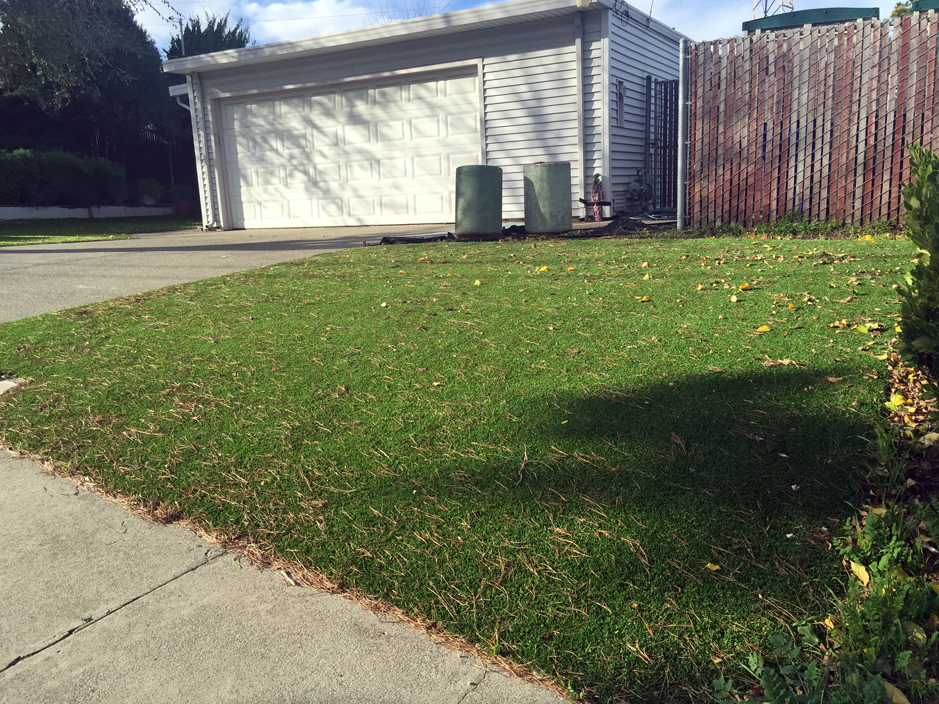 Artificial Grass: Fake Lawn Waelder, Texas Lawn And Garden, Front Yard Landscaping