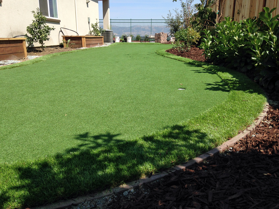 Artificial Grass: Fake Turf Hungerford, Texas Lawns, Backyard