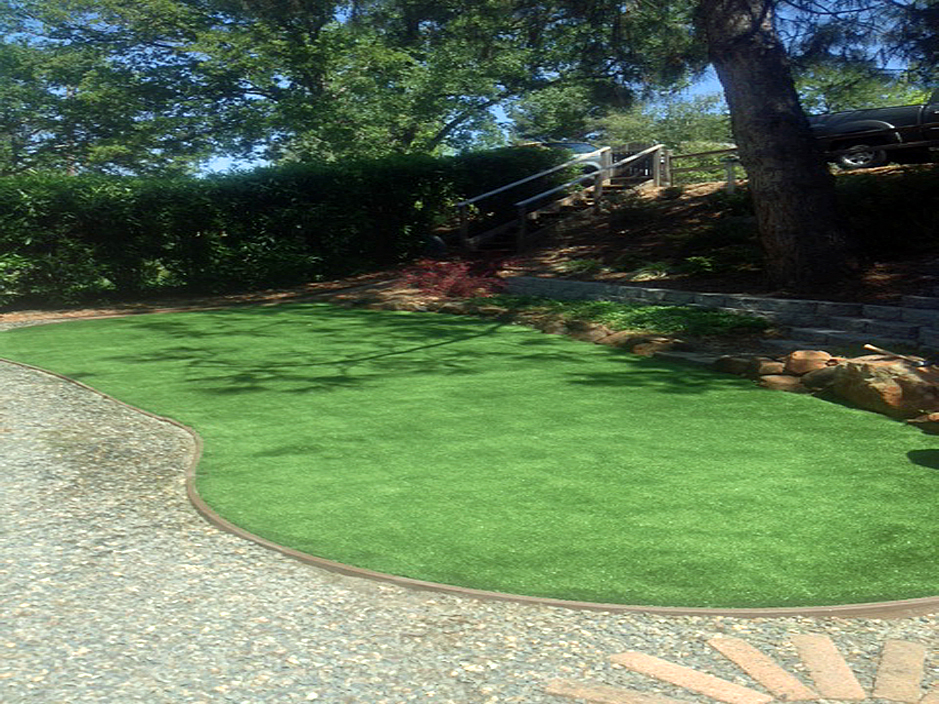 Artificial Grass: Fake Turf Magnolia, Texas Landscape Design, Backyard Designs