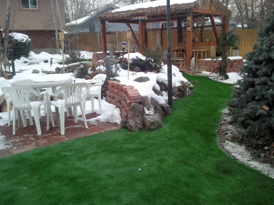 Artificial Grass: Fake Turf Oak Cliff Place, Texas Landscaping, Snow