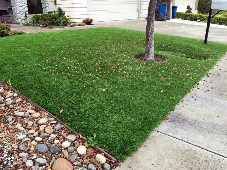Artificial Grass: Fake Turf Vidor, Texas Landscape Photos, Front Yard Landscape Ideas