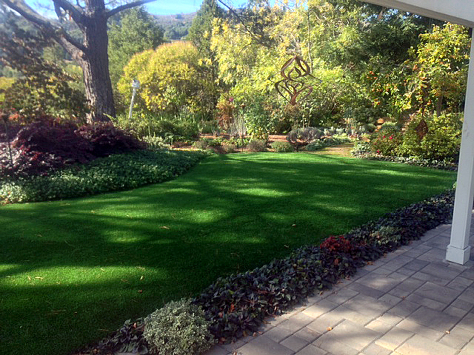 Artificial Grass: Faux Grass La Marque, Texas Gardeners, Backyard Designs
