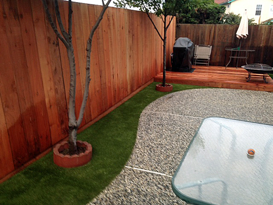 Artificial Grass: Faux Grass Marquez, Texas Pet Grass, Backyard Design