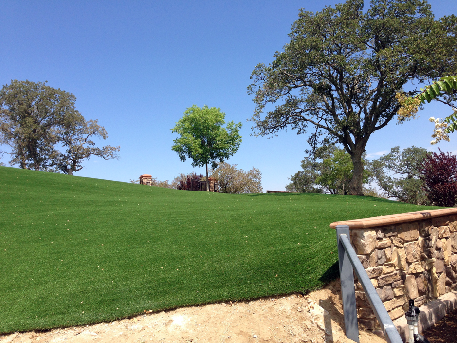 Artificial Grass: Grass Carpet Grayburg, Texas Lawns, Front Yard Landscaping Ideas