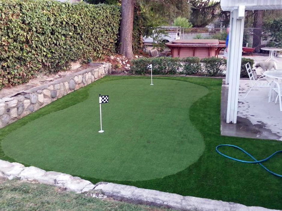 Artificial Grass: Grass Carpet Pasadena, Texas Home Putting Green, Backyard Garden Ideas