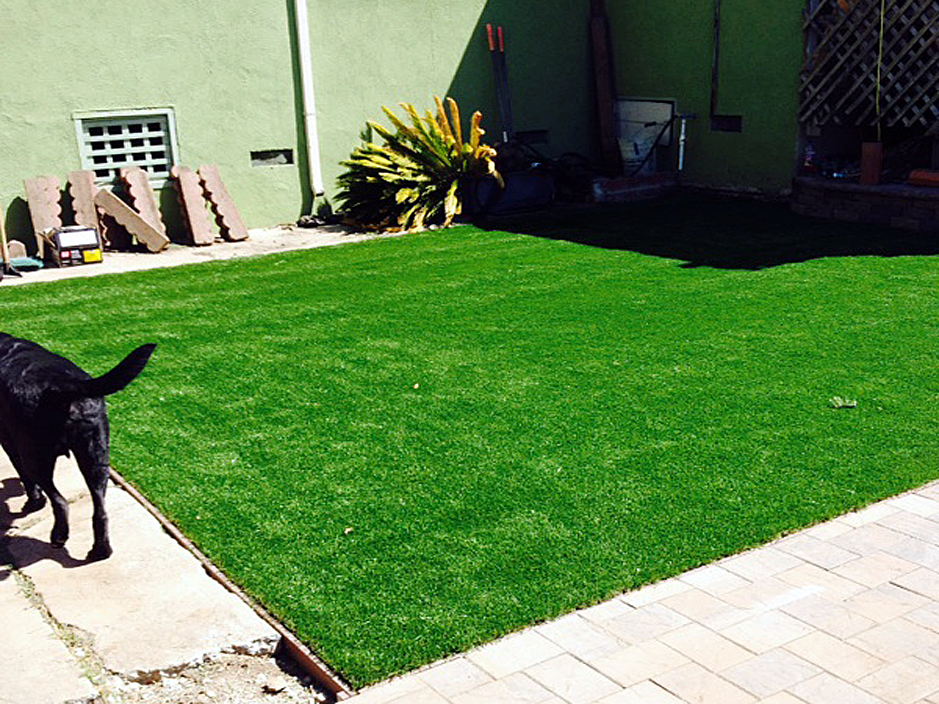 Artificial Grass: Grass Carpet Reklaw, Texas Watch Dogs, Backyard Design