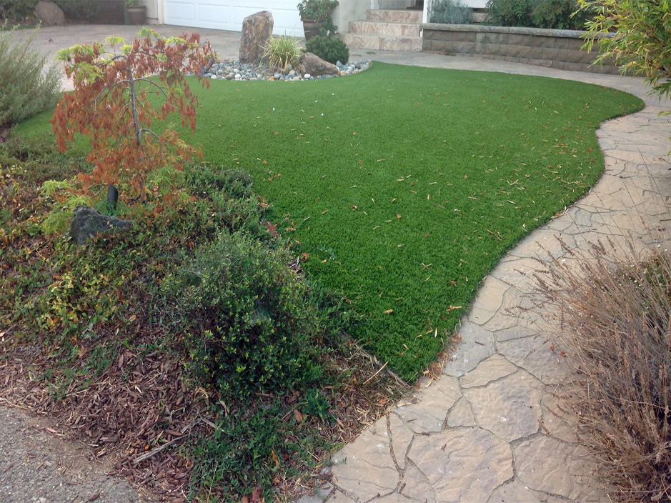 Artificial Grass: Grass Turf Markham, Texas Dog Pound, Small Backyard Ideas