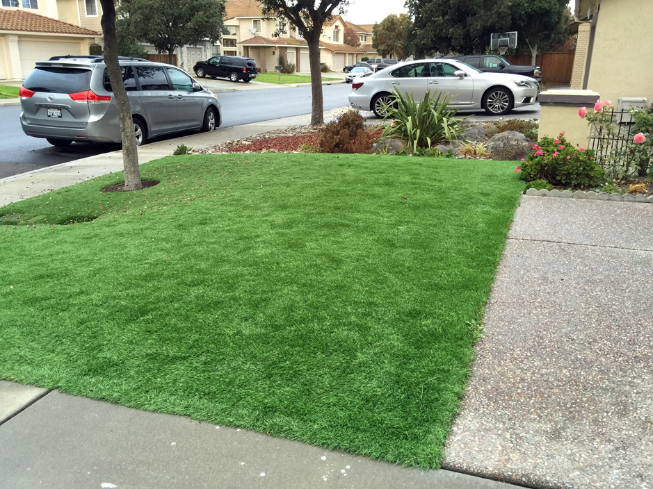 Artificial Grass: Grass Turf Trinity, Texas Home And Garden, Front Yard Ideas