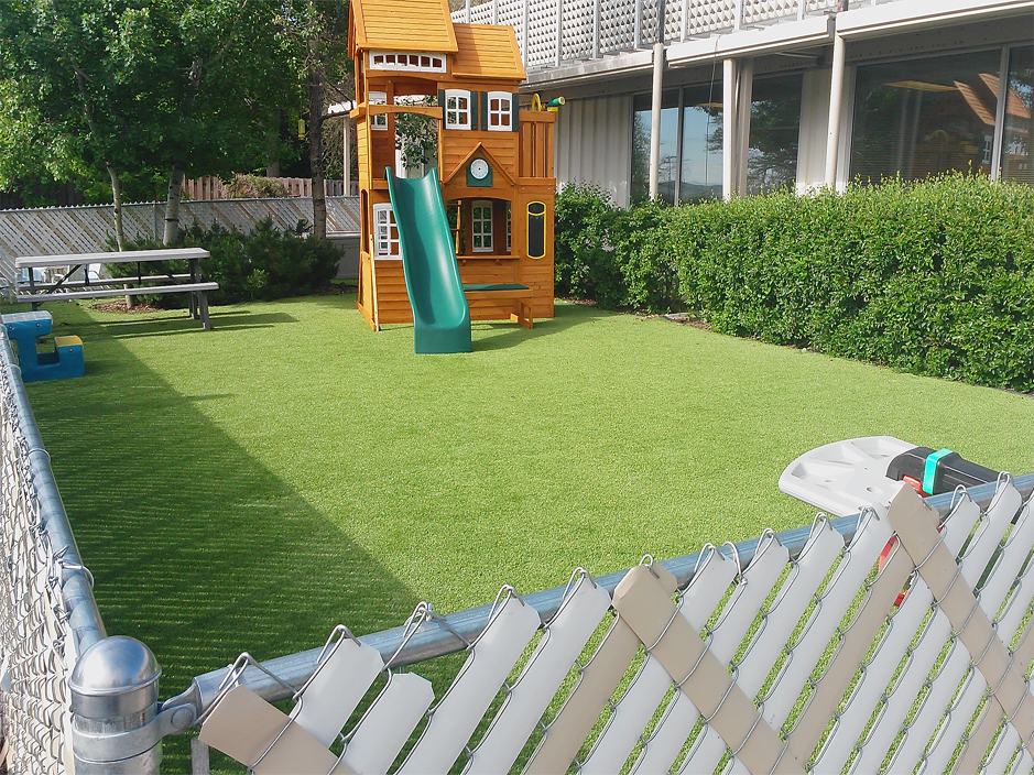 Artificial Grass: Green Lawn Elgin, Texas Rooftop, Backyard Makeover