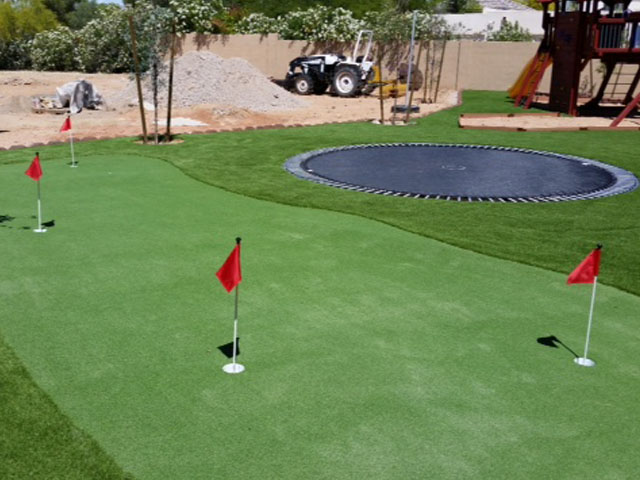 Artificial Grass: Green Lawn Rollingwood, Texas Indoor Putting Green, Backyard Garden Ideas