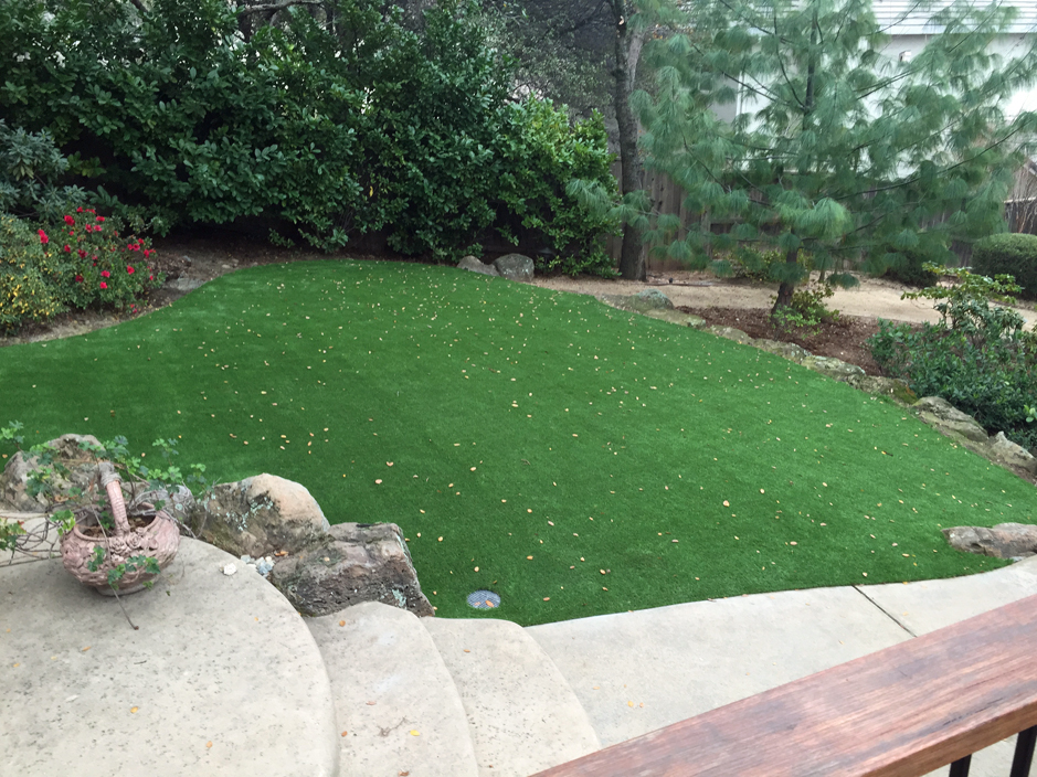 Artificial Grass: How To Install Artificial Grass Rosebud, Texas Gardeners, Backyard Makeover