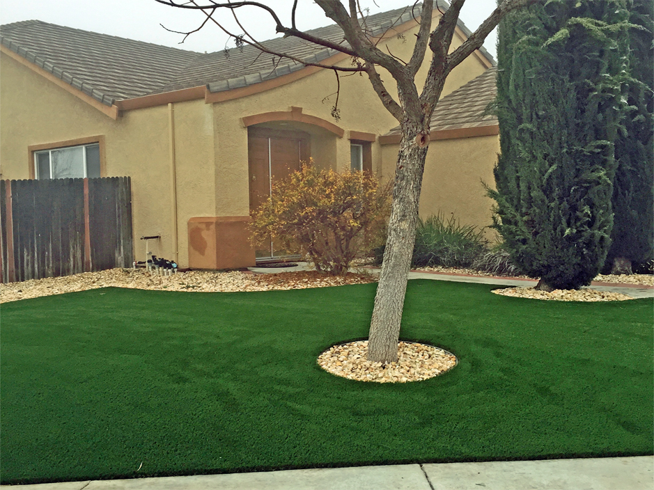 Artificial Grass: Lawn Services Garfield, Texas City Landscape, Front Yard Landscaping
