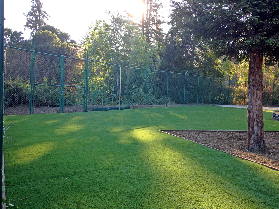Artificial Grass: Lawn Services Kountze, Texas Athletic Playground, Recreational Areas