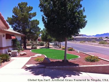 Artificial Grass Photos: Artificial Grass Carpet Jacinto City, Texas Landscape Photos, Front Yard Ideas