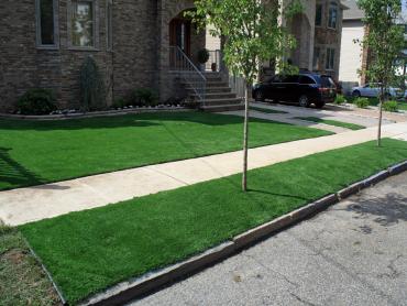 Artificial Grass Photos: Artificial Grass Carpet Lovelady, Texas Landscape Design, Landscaping Ideas For Front Yard