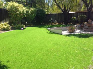 Artificial Grass Carpet Orchard, Texas Gardeners, Beautiful Backyards artificial grass