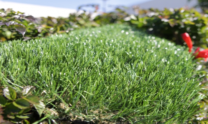 Silky-Smooth Artificial Grass