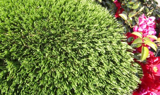 Hollow Blade-73 syntheticgrass Artificial Grass Houston, Texas