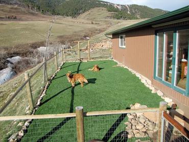 Artificial Grass Photos: Artificial Grass Installation Rosenberg, Texas Artificial Grass For Dogs, Small Backyard Ideas