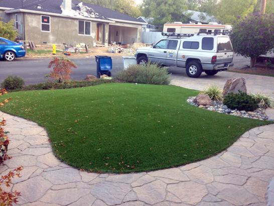 Artificial Grass Photos: Artificial Lawn Beach City, Texas Lawn And Landscape, Front Yard Landscaping Ideas