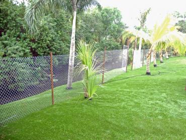 Artificial Grass Photos: Artificial Lawn Hallettsville, Texas Landscape Design, Backyard Ideas