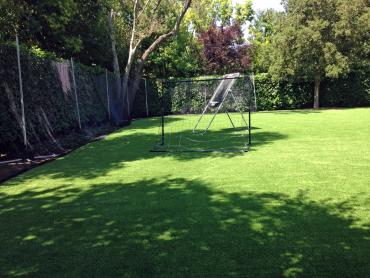 Artificial Grass Photos: Artificial Lawn San Pedro, Texas Gardeners, Small Backyard Ideas