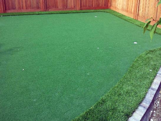 Artificial Grass Photos: Artificial Turf Cost Bellville, Texas Home And Garden, Backyards